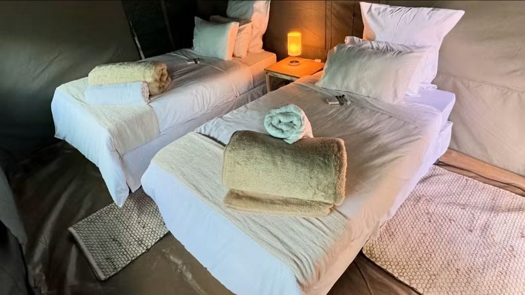Two beds with white bedding and folded towels inside a glamping tent