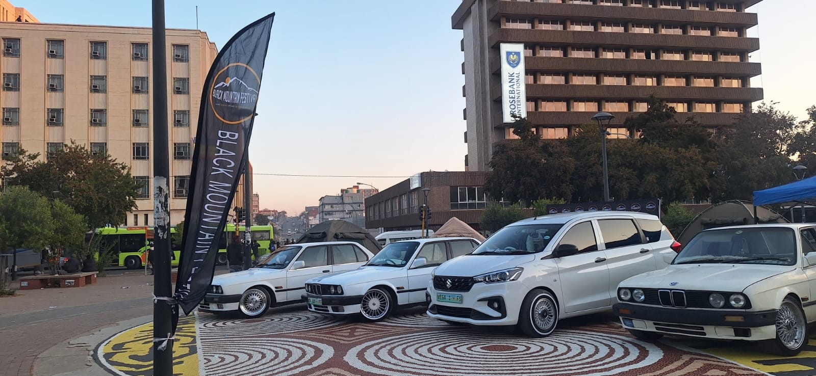 A row of cars displayed together at a motoring gathering