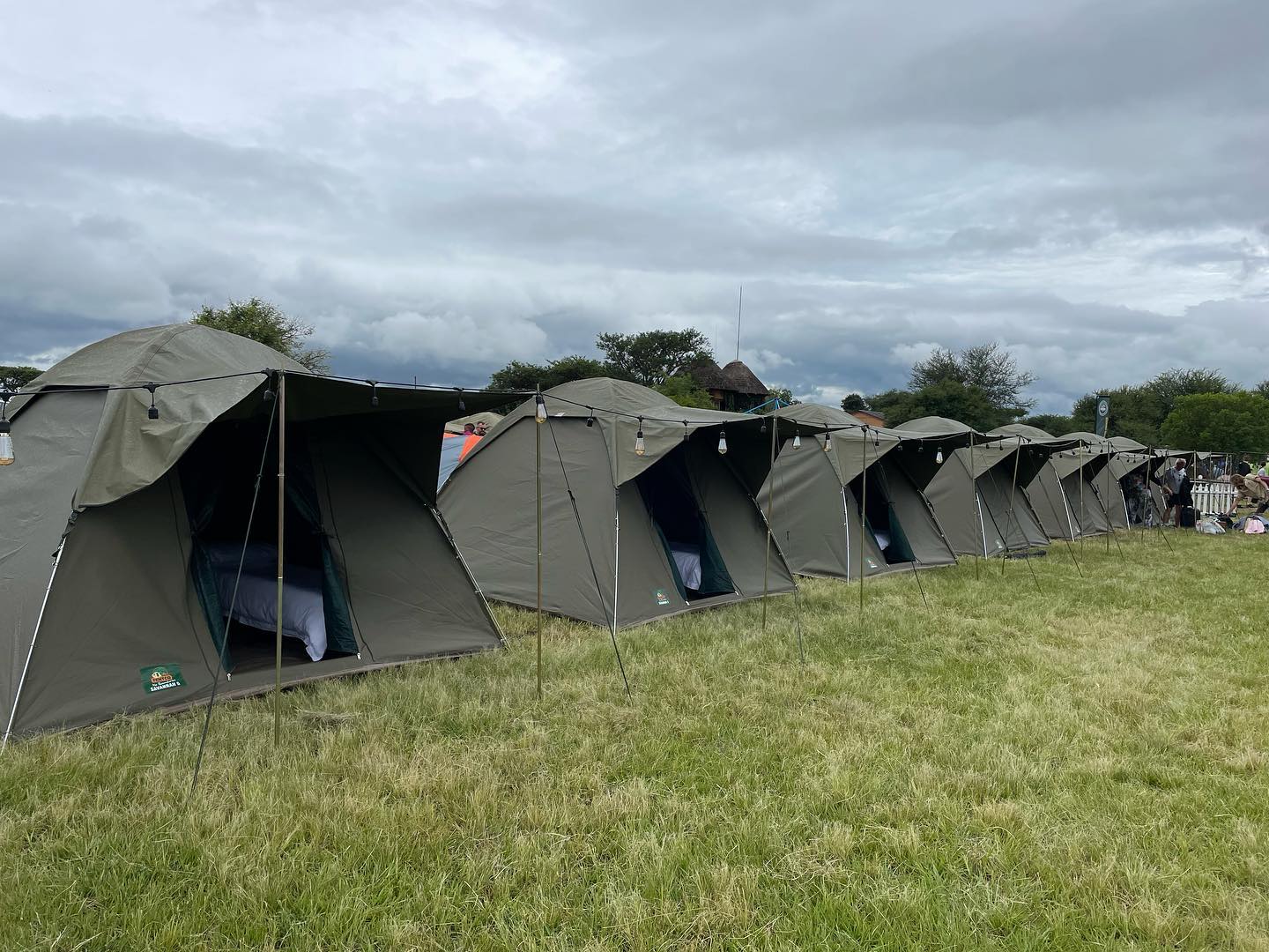 A row of tents in a grassy outdoor campsite